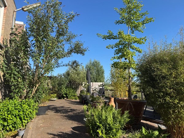 Medium property photo - Molendijk 79, 4671 BN Dinteloord